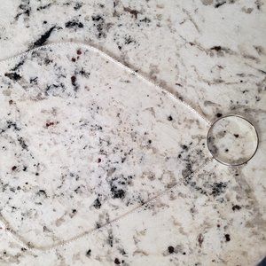 Lele Sadoughi Circle Necklace | Silver